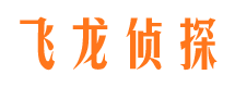 西充市调查取证